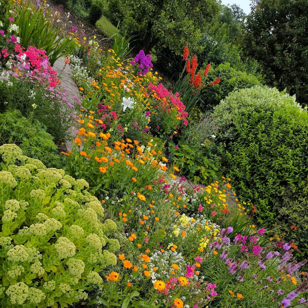 Blumen-des-KGV-Deininghausen-Castrop-Rauxel