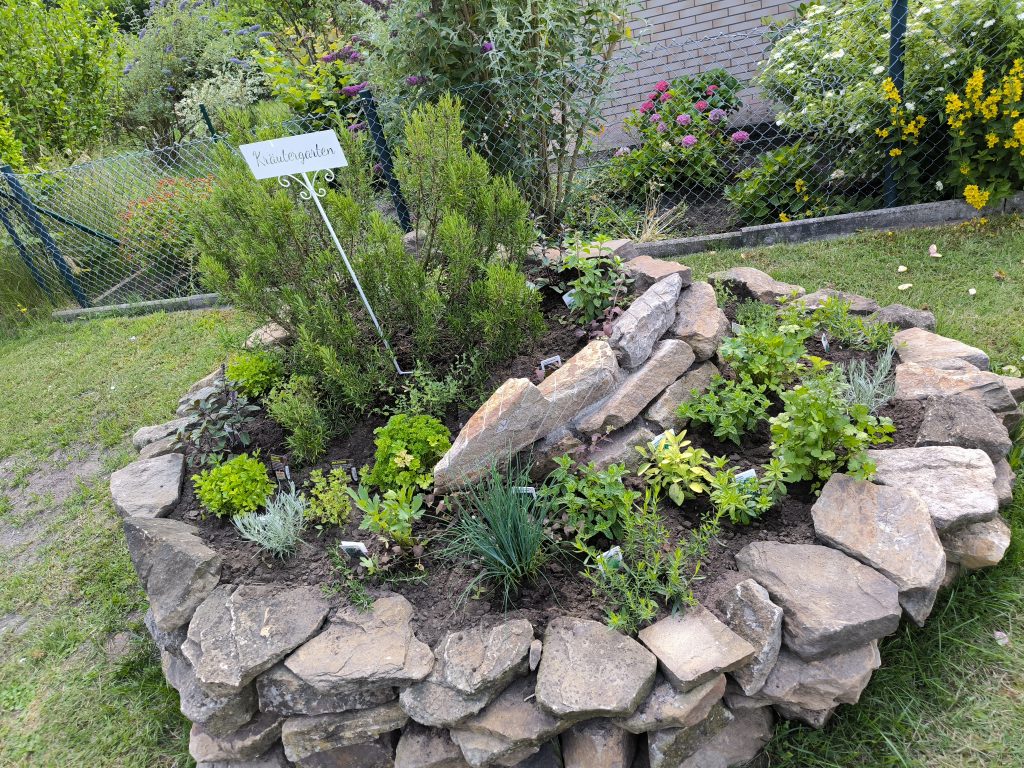 Bild-von-einem-bepflanzten-Steinkübel-im-KGV-Deininghausen-e.V.-Castrop-Rauxel