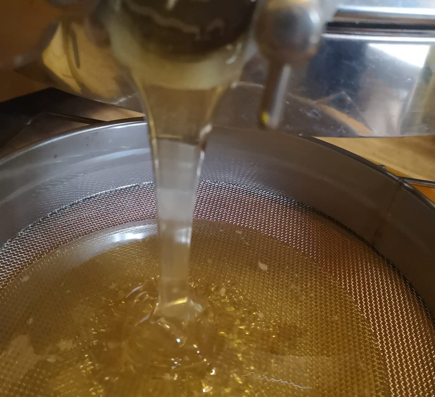 Honig-der-Imkerei-des-KGV-Deininghausen-Castrop-Rauxel